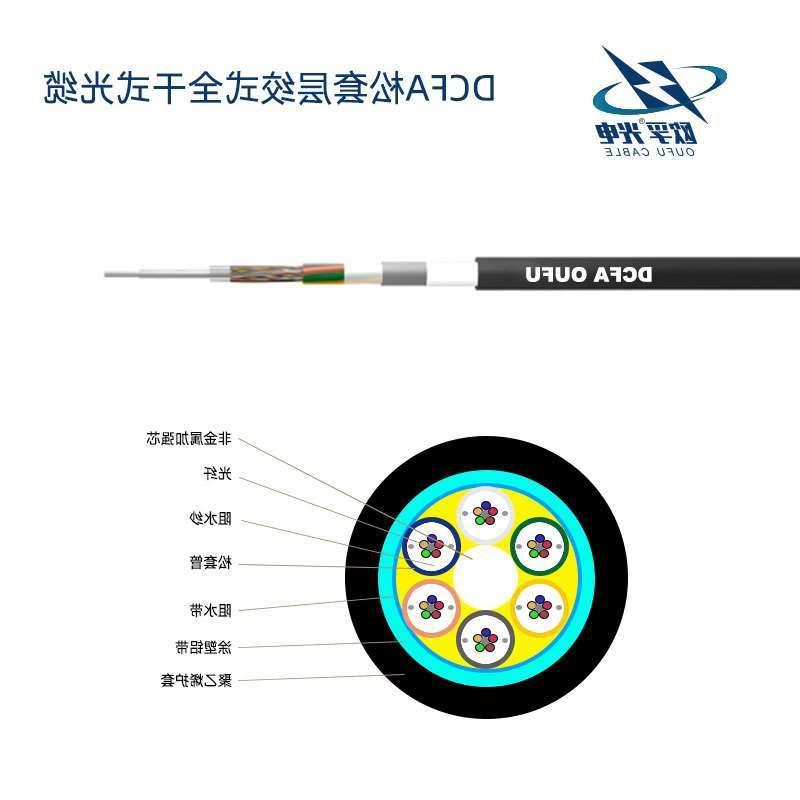 黔东南苗族侗族自治州DCFA光缆