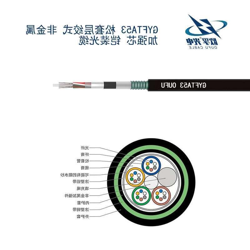 黄山市GYFTA53光缆