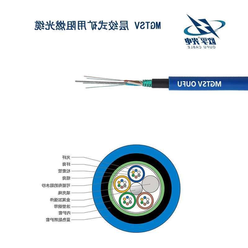 海西蒙古族藏族自治州MGTSV光缆