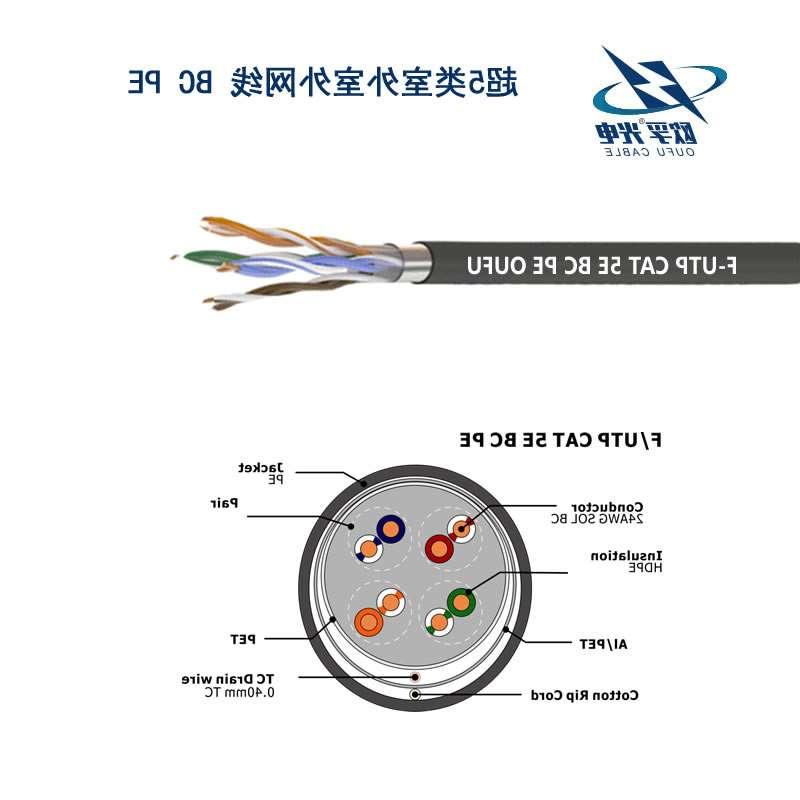 遵义市F-UTP CAT 5E BC PE