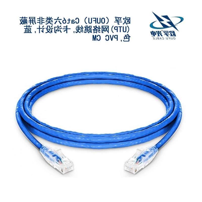 黔东南苗族侗族自治州​Cat6六类非屏蔽(UTP)网络跳线