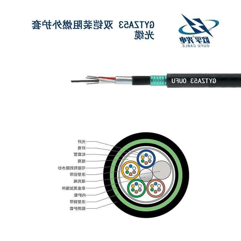 九龙城区GYTZA53光缆