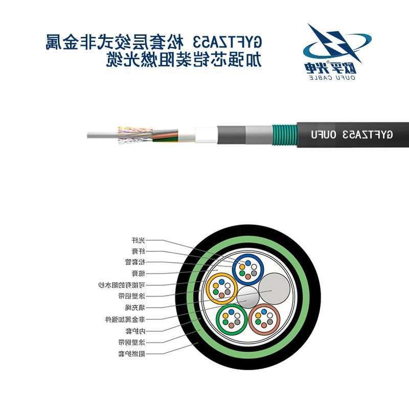 九龙城区GYFTZA53光缆