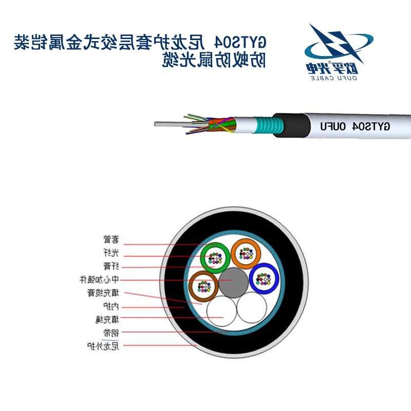 海西蒙古族藏族自治州GYTS04光缆